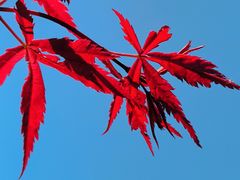 -北仑森林植物园