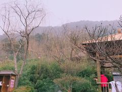 -徂徕山森林康养度假谷温泉