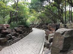 -花溪公园