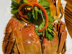 -呼吸森林·生态农庄农家乐私房菜