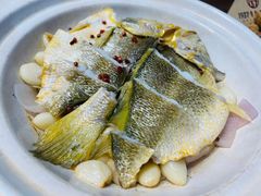 -1937青岛老味道·海肠捞饭·青岛菜(大鲍岛栈桥店)