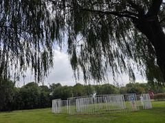 -白塔湖国家湿地公园