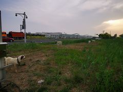 -天津东丽湖风景区