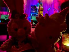 -JZ Club 爵士酒吧(上海店)