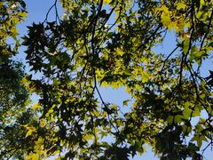 -森林公园(尖草坪区)