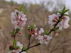 -白水寺森林公园