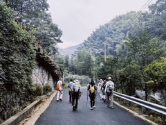 -东天目山风景区