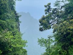 -峨眉山风景名胜区