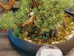 -百富源·海鲜辽菜(张士店)