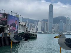 -海港城