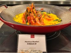 阿根廷红虾-康莱德酒店·美庭自助餐厅