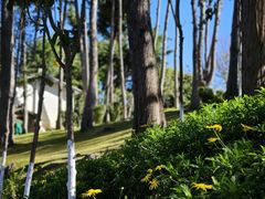 -南诏风情岛