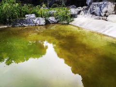 -上海吴淞炮台湾国家湿地公园
