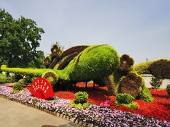 -金银湖国家城市湿地公园