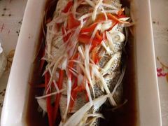 -天鹅到家·保姆月嫂育儿嫂(蔚蓝海岸店)