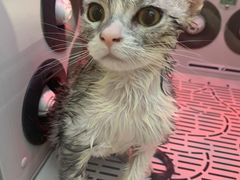 -FAELING PETS美天灵宠物(富力广场店)