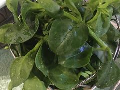 田七苗-蕃茄述·好汤自然来(江汉路店)
