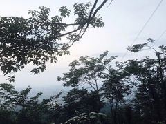 -茶颜悦色(岳麓山顶店)