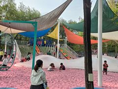 -长白岛森林公园