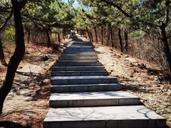 -北京西山国家森林公园