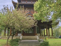 -堤角公园