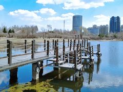 -群力丁香公园
