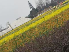 -中国天府农业博览园