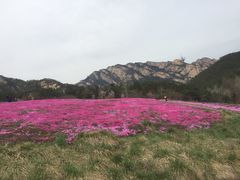 -昆嵛山石门里景区