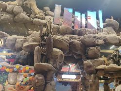 -卡通尼·Safari非洲探索乐园·生日会(金桥国际商业广场店)