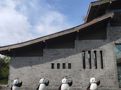 -都江堰中华大熊猫苑
