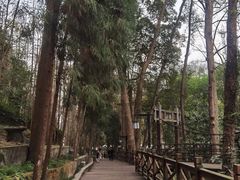 -都江堰普照寺