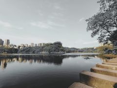 -重庆彩云湖湿地公园