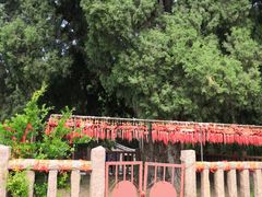 -四门塔风景区