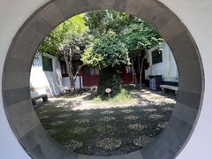 -上海醉白池公园