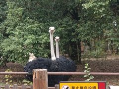 -南昌动物园