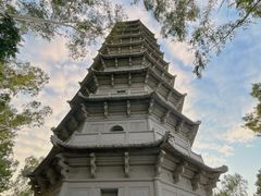 -深圳国际园林花卉博览园