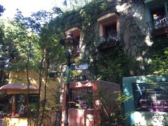 -三鹰之森吉卜力美术馆