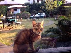 iphone_upload_pic-大可堂普洱茶馆(襄阳南路馆)