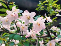 -后襄河公园