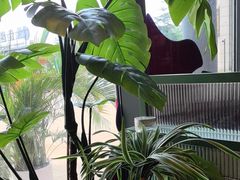 -椰小鸡·琼州糟粕醋·火锅(美兰缤纷城店)