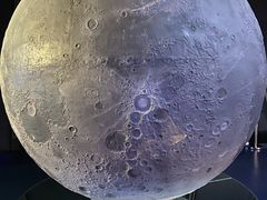 -贝林大翅鲸简餐厅(国家海洋博物馆店)