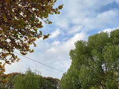 -后襄河公园