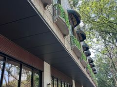 -小贝壳酒楼(经九路店)
