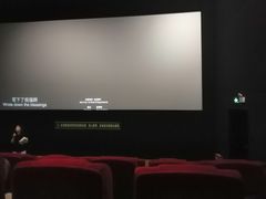 放映厅-沃美影城蜀山万象汇店(WMX巨幕)