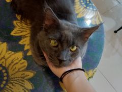 -平行世界·猫咖(首经贸店)