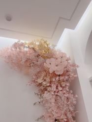 -苗方清颜痘肌研究所