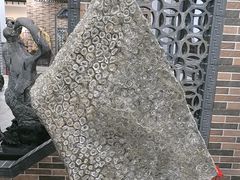 -游龙石文化科普馆
