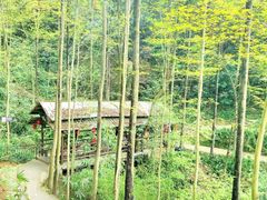 -窦圌山风景区