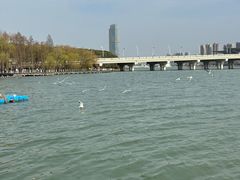 -蠡湖大桥公园