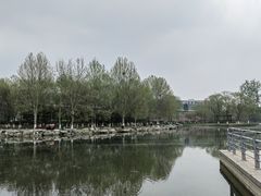 -大兴滨河森林公园